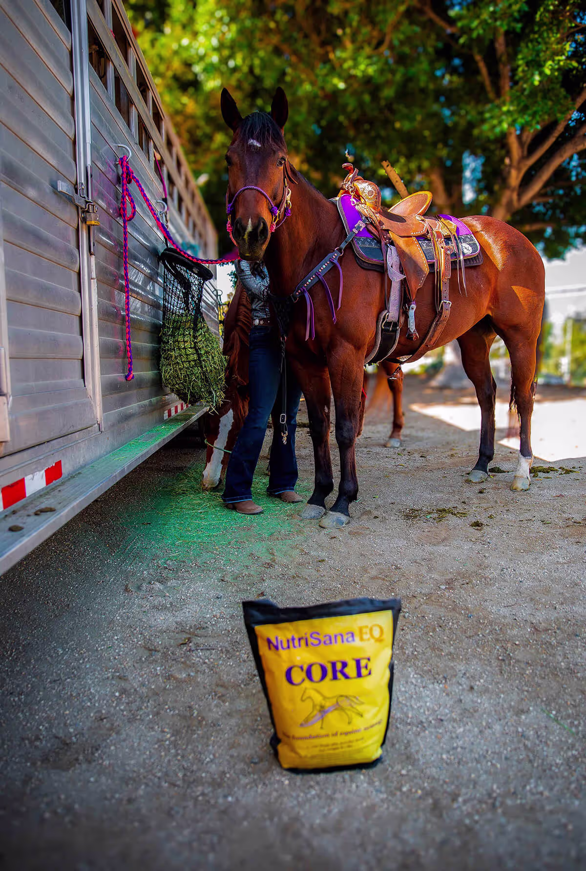 horse gut health and digestion support