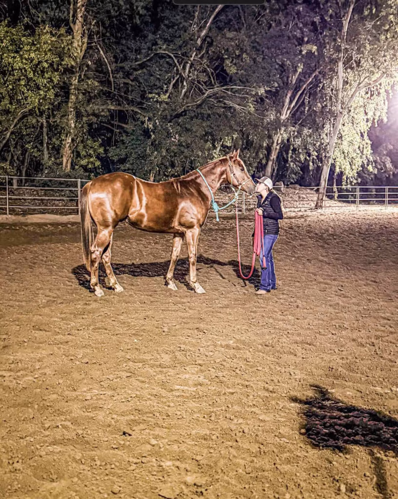 Liquid Vitamin E for Horses: Dosing & Absorption