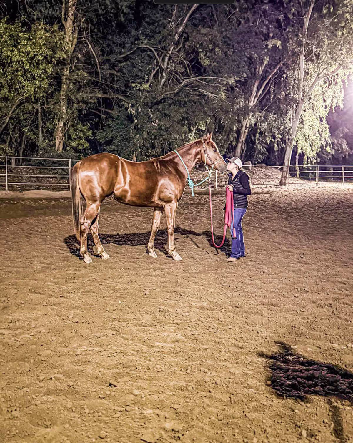 Liquid Vitamin E for Horses: Dosing & Absorption