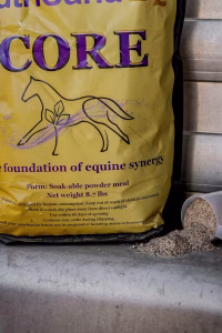 performance horse recovery after training