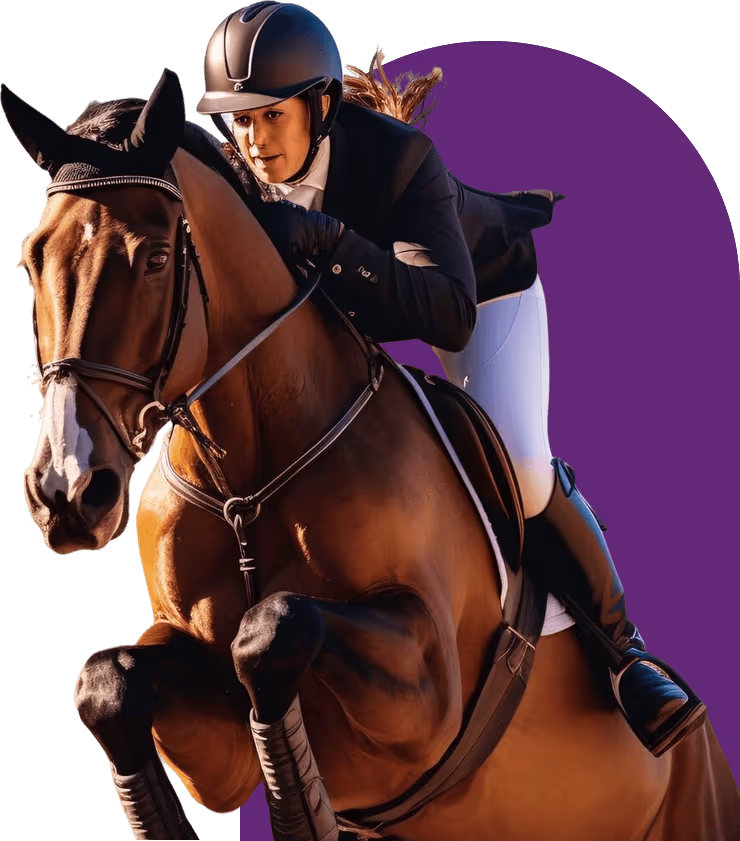 Performance horse training