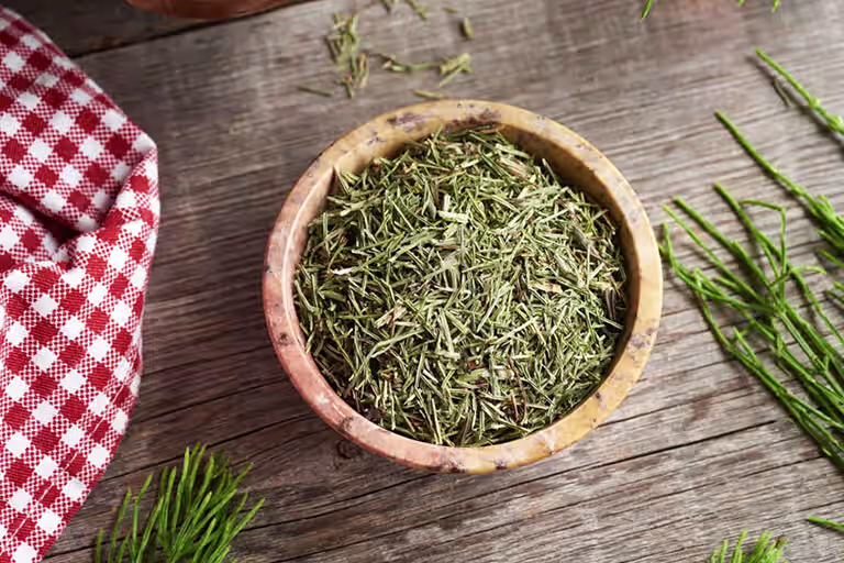 Horsetail Extract