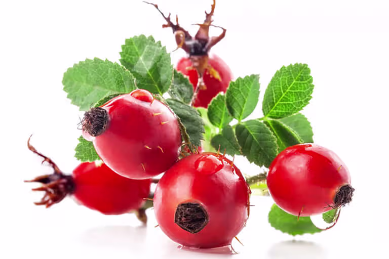 Rosehips Powder