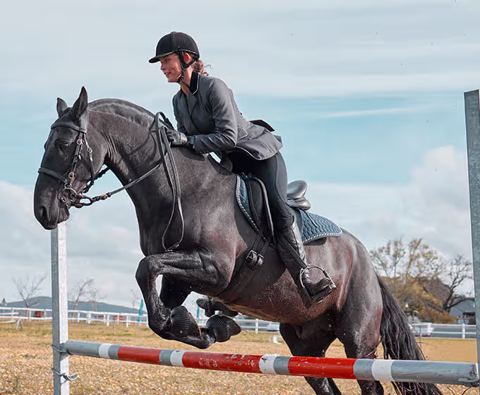 barrel racing horse in competition