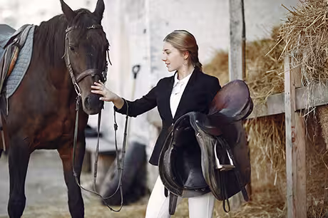 Equine Gut Health and Ulcer Support Resources