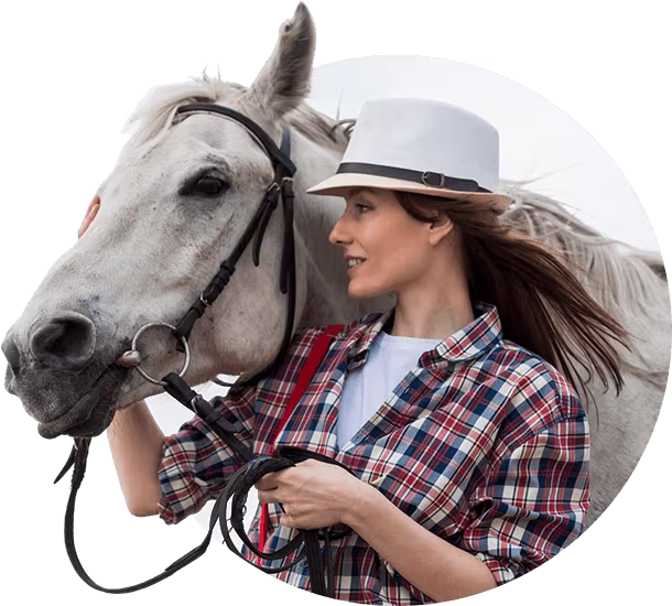 Equine supplement products