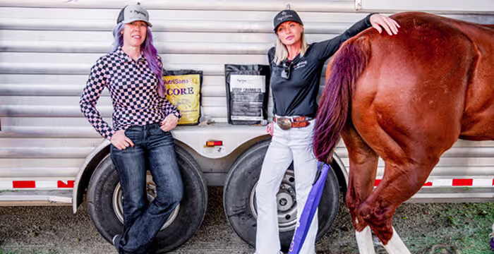 How to Choose the Right Supplement for Your Horse
