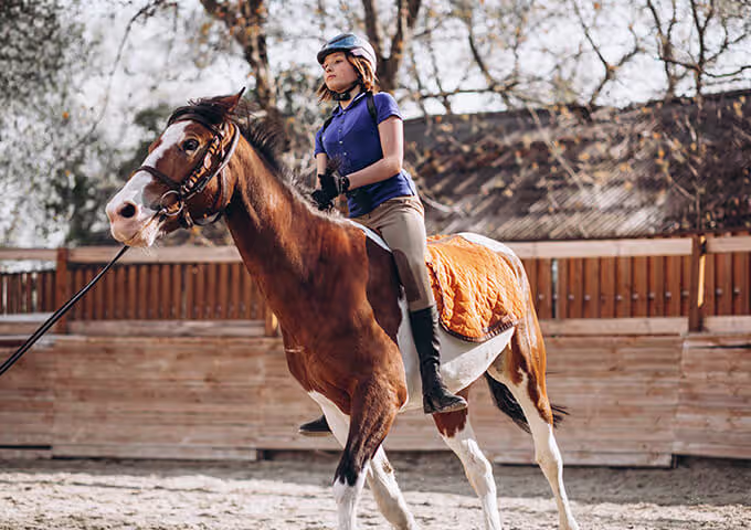 performance horse training and conditioning